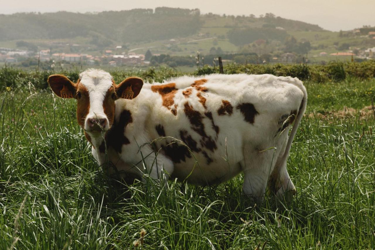 La Joyuca Del Pas Ξενοδοχείο Mogro Εξωτερικό φωτογραφία